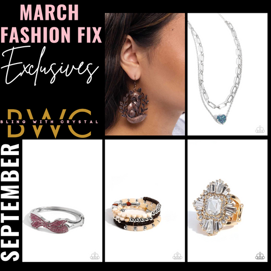 March 2025 Fashion Fix Exclusives **Paparazzi Accessories**