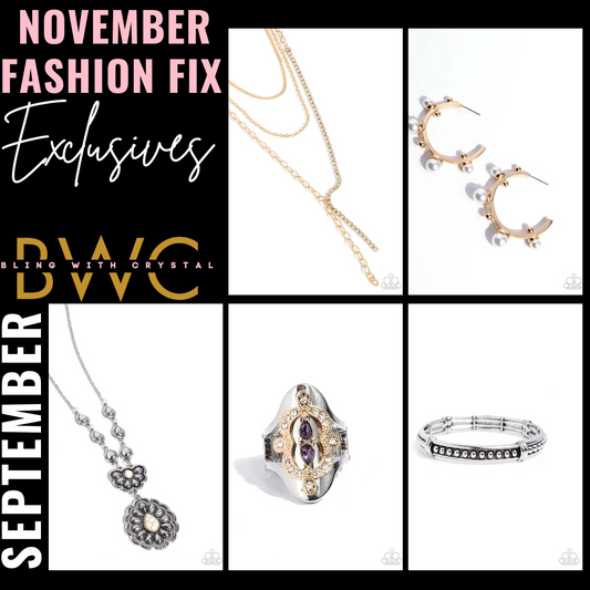 November 2024 Fashion Fix Exclusives - Paparazzi