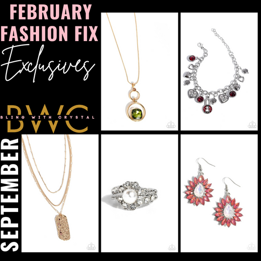 February 2025 Fashion Fix Exclusives - Paparazzi